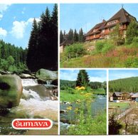 F 46489 - Šumava