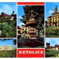 F 46537 - Netolice