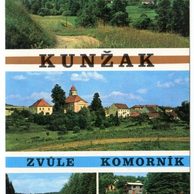 F 46560- Kunžak