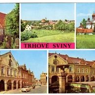 F 46613 - Trhové Sviny 