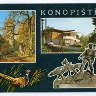 F 46847 - Konopiště