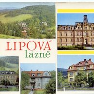 F 47033 - Lipová