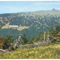 F 47416 - Jeseníky2