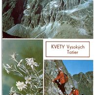 Vysoké Tatry - 48521
