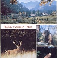 Vysoké Tatry - 48550