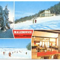 F 48713 - Malenovice 