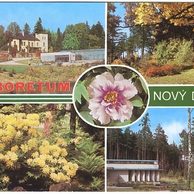 F 48922 - Nový Dvůr