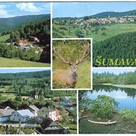 F 48994 - Kašperské Hory