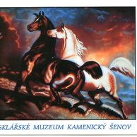 F 49273 - Sklářské muzeum Kamenický šenov