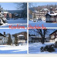 F 49293 - Karlova Studánka