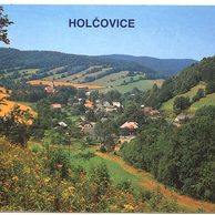 F 49302 - Holčovice