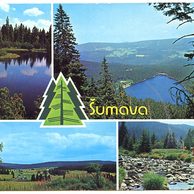 F 49407 - Šumava 