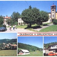F 49549 - Olešnice v Orlických horách