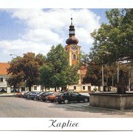 F49566 - Kaplice