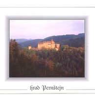 F 49581 - Pernštejn 