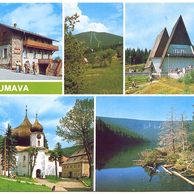 F 49619 - Šumava
