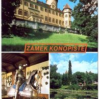 F 49707 - Konopiště