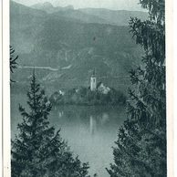 Ostatní cizina - 50003