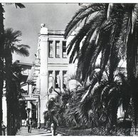 Ostatní cizina - 50106