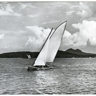 E 50157 - Máchovo jezero 