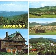 F 50278 - Javorníky