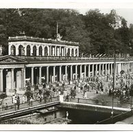 D 50196 - Karlovy Vary 5 