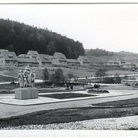 D 50199 - Javoříčko