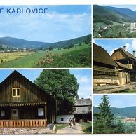 F 50355 - Velké Karlovice