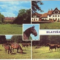 F 50801 - Slatiňany