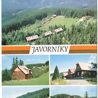 F 50909 - Javorníky