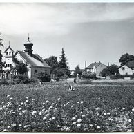 E 51372 - Štěpánov