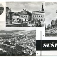 E 51389 - Sušice