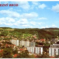F 51770 - Železný Brod
