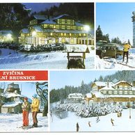 F 52522 - Dolní Brusnice