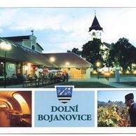 F 53273 - Dolní Bojanovice