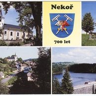 F 53370 - Nekoř