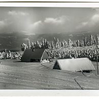 D 53801 - Orlické hory