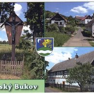 F 53998 - Český Bukov