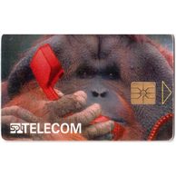 TK189 - Telefonní karta ČR Telecom - Orangutan (33/06.96/50)