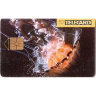TK205 - Telefonní karta ČR Telecom - Medúza (87/12.96/50 100Kč)