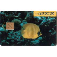 TK247 - Telefonní karta ČR Telecom - Chaetodon (78/10.96/100 190Kč)