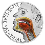 Stříbrná mince Lidské tělo - Lymfatická soustava - Krční mandle proof (ČM 2026) 