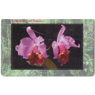 TK102 - Telefonní karta ČR Telecom - Orchidej Cattleya cv. Irene Holguin (04/01.98/50 200Kč)