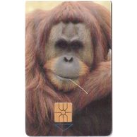 TK112 - Telefonní karta ČR Telecom - Orangutan (59/11.97/50 150Kč)