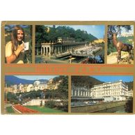 F 16475 - Karlovy Vary