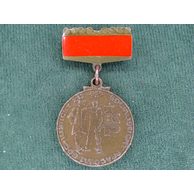 1174-BSP bronzový