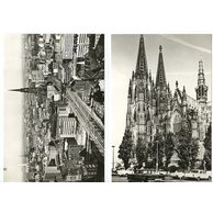 Leporela - NSR - 40808