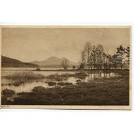 Ostatní cizina - 39928