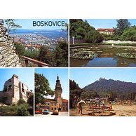 D 001113 - Boskovice