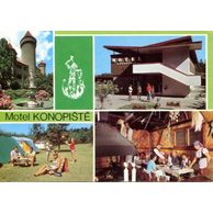 F 001314 - Konopiště